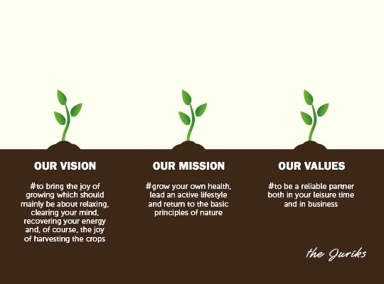 Vision, mission, values