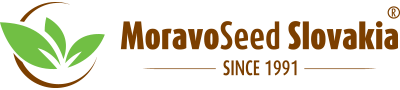 MoravoSeed logo